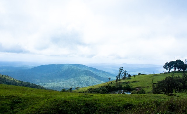 甚至屡次在 甚至屡次在