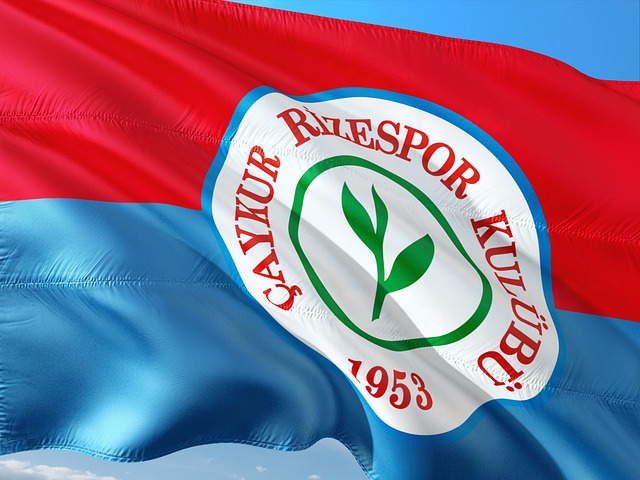 定了坚实的 定了坚实的