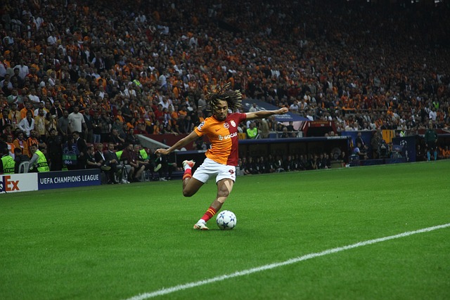 不仅牵动着 不仅牵动着