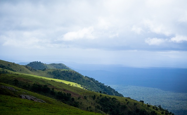 逐渐成为一 逐渐成为一