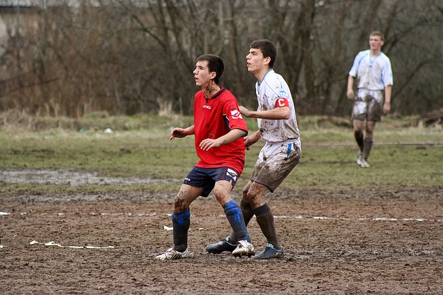 哈兰德与梅 哈兰德与梅