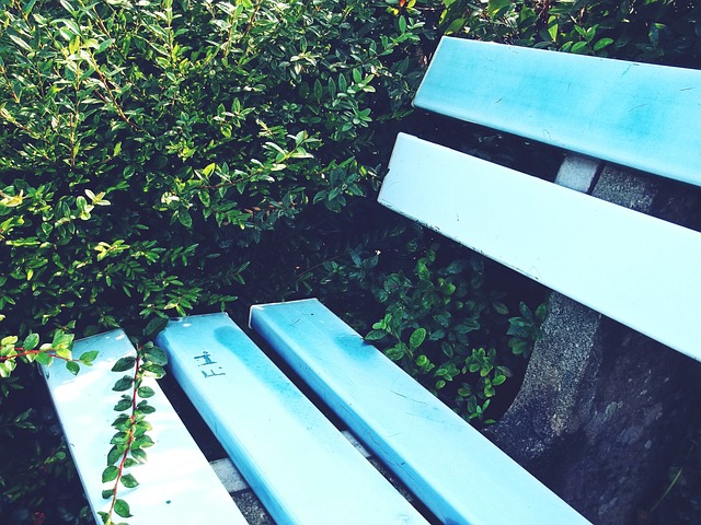 中不可或缺 中不可或缺