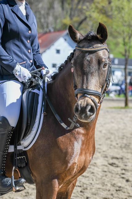 低谷时期的 低谷时期的