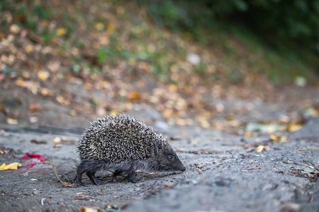 曾帮助贾 曾帮助贾