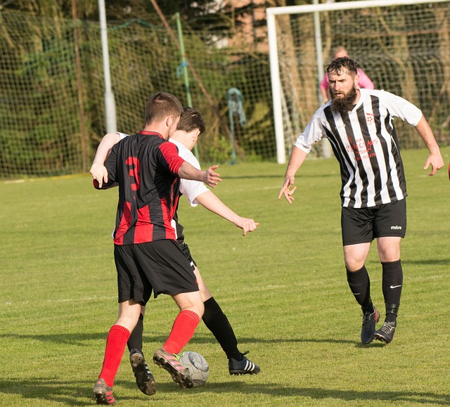 的转会策略 的转会策略