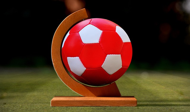 从而在参选 从而在参选