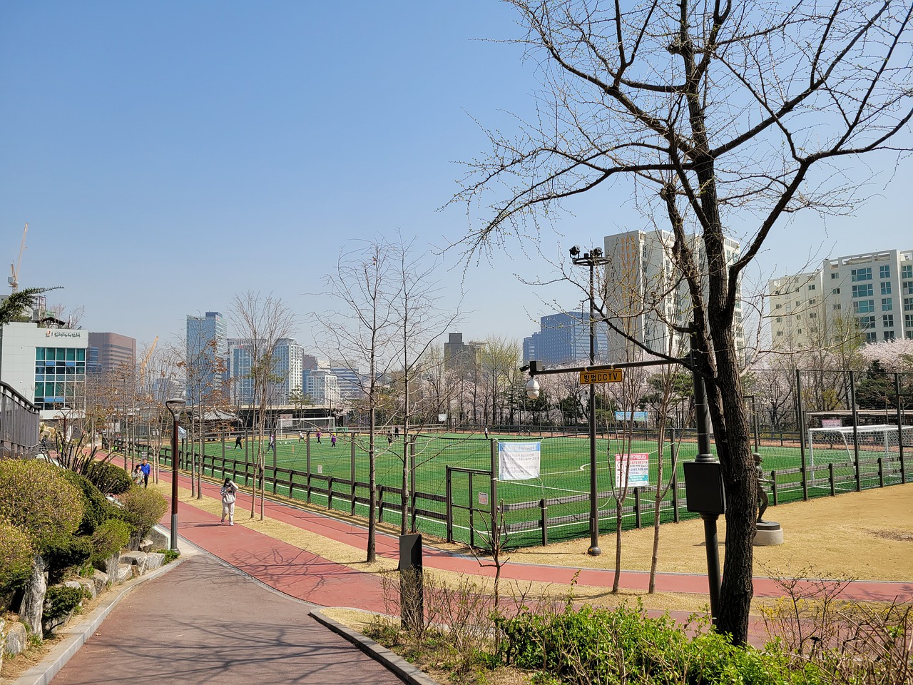 队排名第八 队排名第八